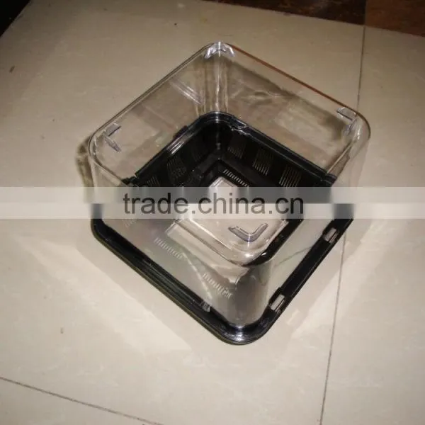 Plastic Transparent Pet Box Reptiles Box photo-4