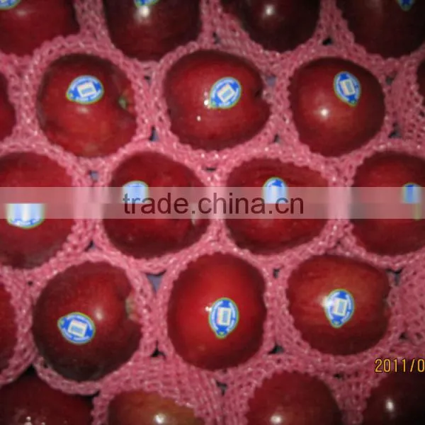 Export Huaniu Apple Company photo-6