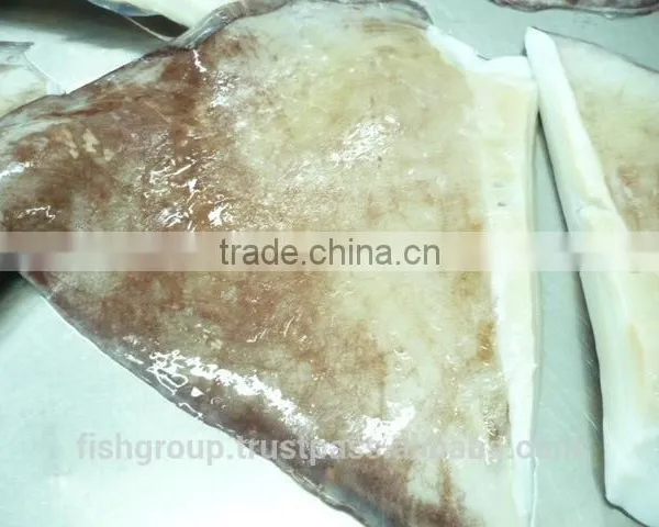 Giant Squid Wing photo-2