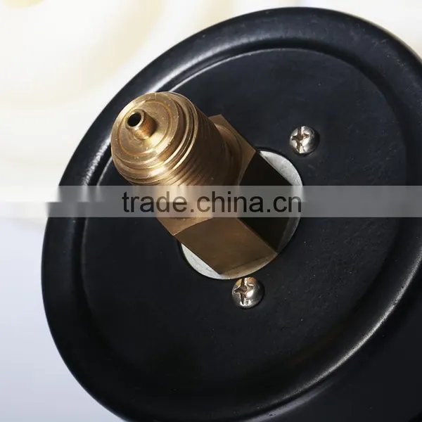 Front Flange Mounted Pressure Gauge en 837-1 photo-2