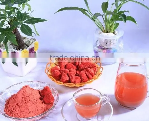 TTN Freeze Dried Fruit Powder Strawberry Flavour Powder Strawberry Powder photo-3