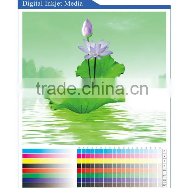 Inkjet Media PET Film/inkjet Media/PP Paper Matte/inkjet Advertisement photo-2
