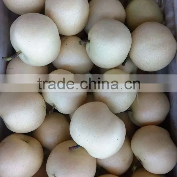 China Seasonal Fruit Asian Pear photo-3