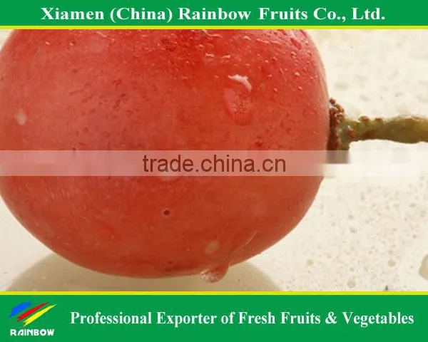 Fresh Chinese Table Grape Red Globe Grape Red Grape to India Asia Market photo-2