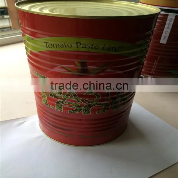 400g XINJIANG Quality Canned Tomato Paste photo-2