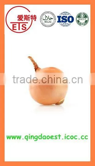 Best Quality Fresh Products Red/yellow Onion From China photo-4