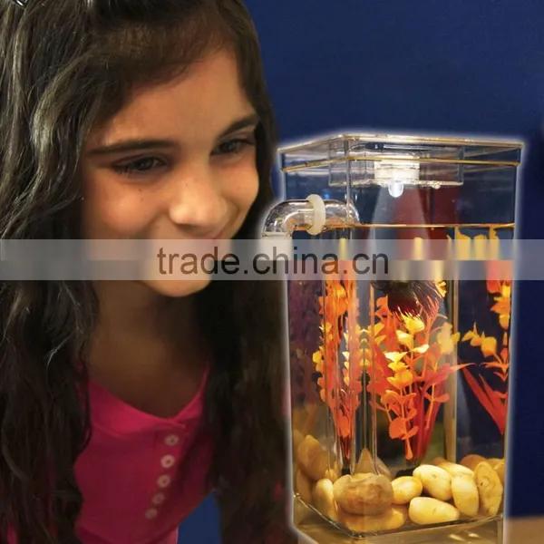 Kawachi New Design Fun Fish Cleaning Tank Fish Aquarium photo-3