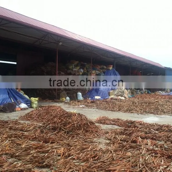 VIETNAM STICK CASSIA photo-5