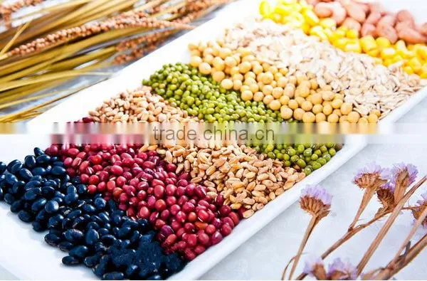All Kinds of Kidney Beans Non-Gmo Pulses Hou Sale Crop