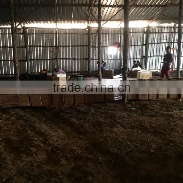 Lao Pure High Quality photo-6