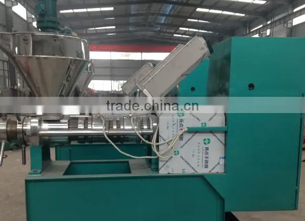 The Newest Design Moringa Oil Cold Pressing Machine photo-2