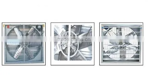 High Quality Chicken Poultry Equipment photo-3