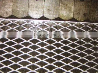 Expaned Metal Mesh(factory) photo-6