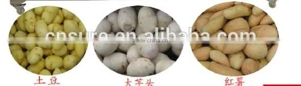 Home Use Potato Peeling Machine photo-2