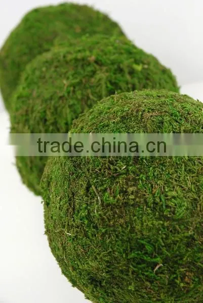 Handicraft Moss Ball photo-3
