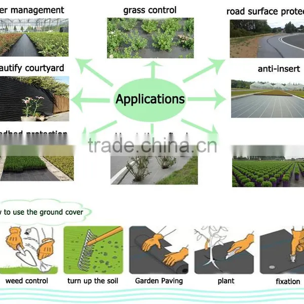 PP Ground Cover,weed Barrier Fabrics, Weed Mat in Strawberry Garden photo-5