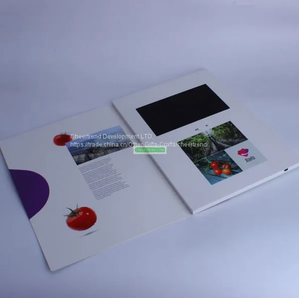 High Resolution 800*480 A5/A4 Size 1500mAh Li-battery 7 Inch TFT LCD Display Screen Video Brochure With 256mb Memory photo-2