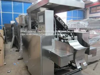 SH-27Fully-Automatic Wafer Production Line(GAS) photo-2