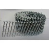 Pallet Coil Nail photo-2