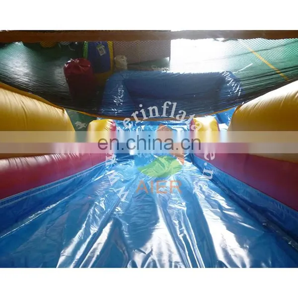 Aier Classic Inflatable Water Slide L173 With Net Hole Pool photo-5