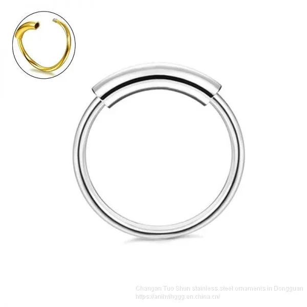 New 316 Stainless Steel Nose Studs, Nose Rings, Foreign Trade Accessories, Earring Earrings, Body Piercing Factory Direct Wholesale photo-2