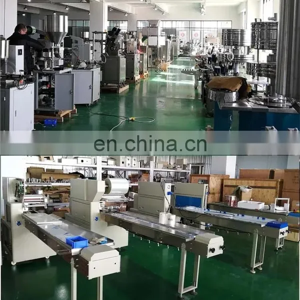 Powder Packaging Machine Tea Bag Packing Machine Automatic Tea Bag Packing Machine photo-6