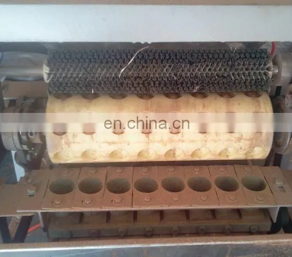 Macadamia Nuts Tapping Machine Macadamia Nuts Tapping Machine photo-5