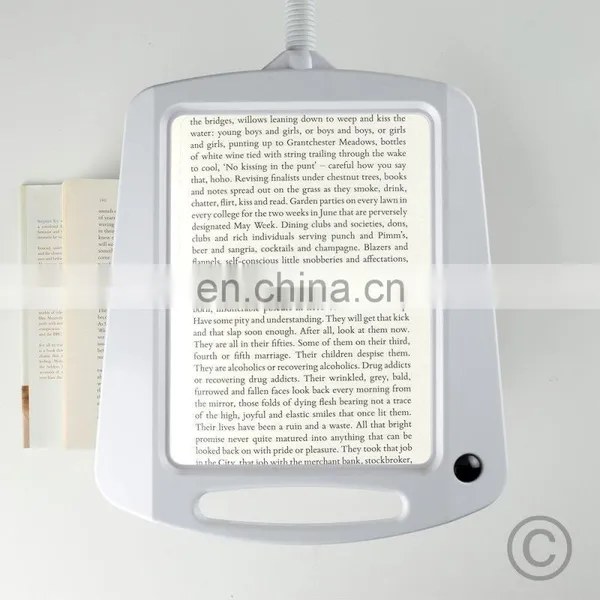2020 Popular Hot Sale Standard Magnify Floor Lamp Wholesale photo-4