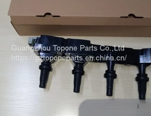 High Performance WL03-0039 Ignition Coil 597080 for Peugeot 206 207 307 Citroen 1.6L