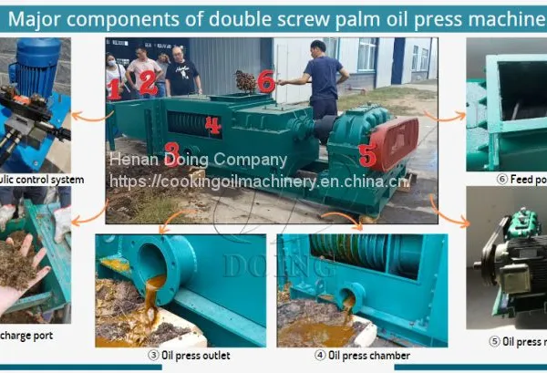 High Efficiency 1-15 Tph Palm Olein Oil Extraction Making Machine in Nigeria photo-2