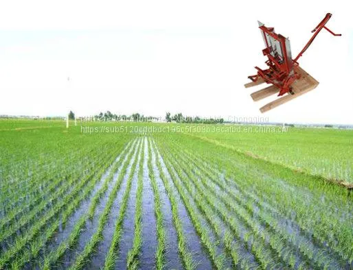 High Quality Factory Direct Sale Planting Machine for Farm Use photo-2