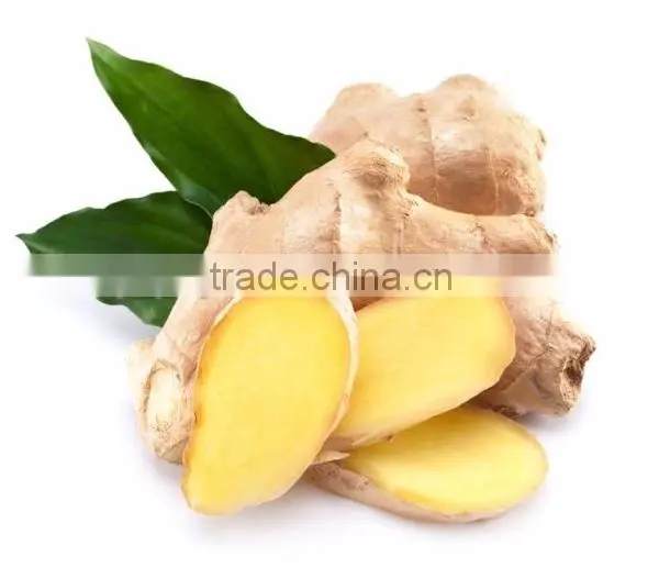 Food Additive Ginger Oil/Refined Ginger Oil