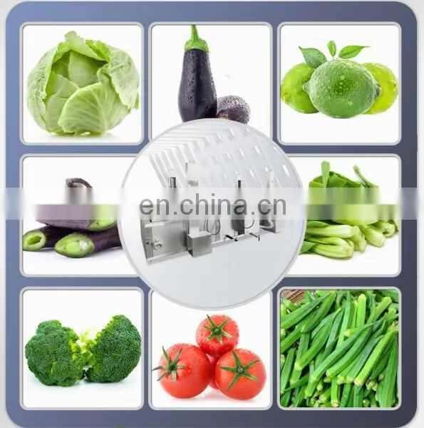 Can be Customized Vegetable Washing and Drying Machine Fruit and Vegetable Processing Line photo-4