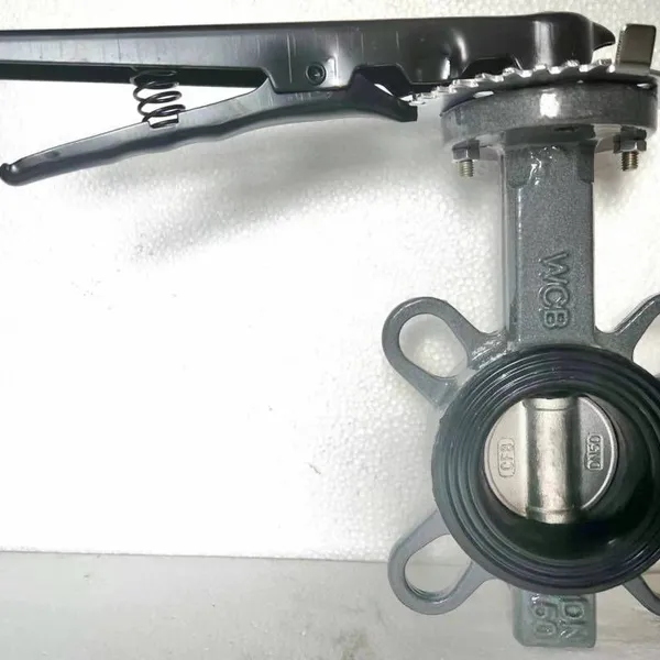 Tyco Butterfly Valve, Advantageously Supplied Rubber-lined Carbon Steel Manual Valve D71x3 - 16c, Pinless 304/2507 photo-2
