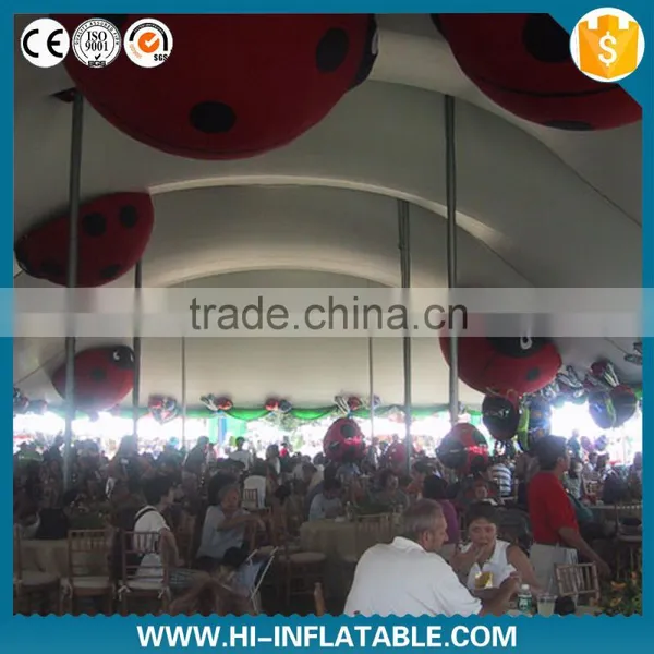 2015 New Inflatable Cartoon,inflatable Insect,inflatable Ladybird photo-2