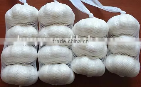 Chinese Garlic