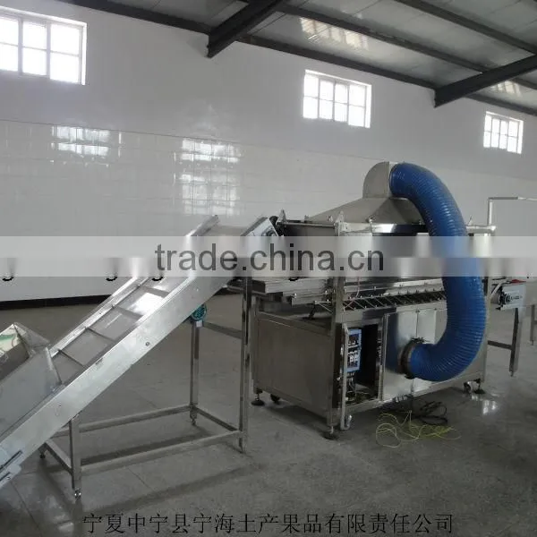 Organic Chinese Ningxia Goji photo-3