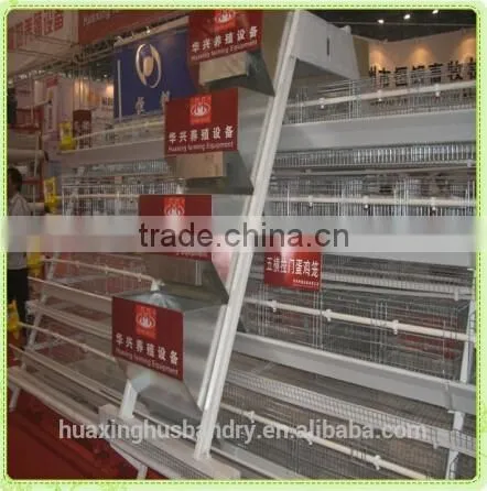 broiler battery cages with automatic system