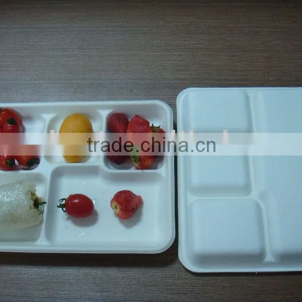 Disposable Tray
