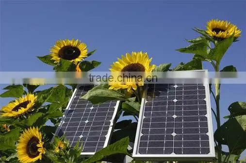 Bestsun 2013 5KW Top Sale,No MOQ Solar Charger Company photo-3