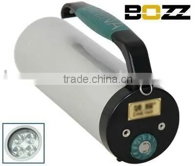 Explosion-proof Light