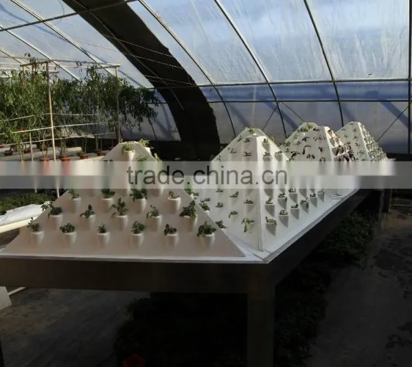 Venlo Garden Greenhouse for Mushroom photo-6