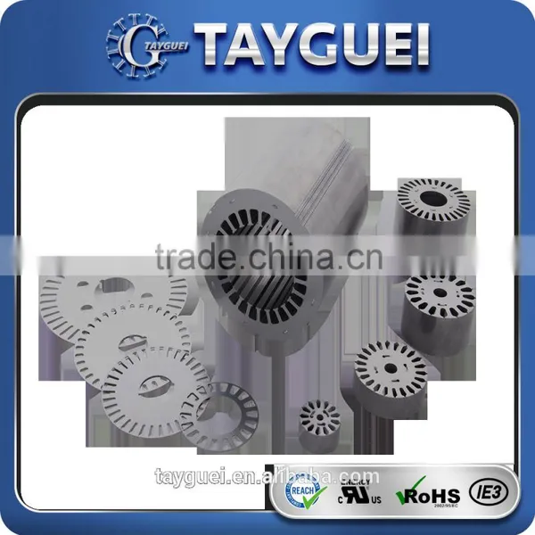 Water Pump Motor Stator Rotor Stamping