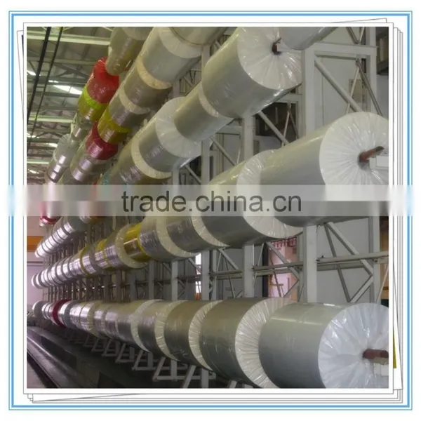 Self Adhesive Thermal Laminated Label Roll for Baggage Tag photo-4