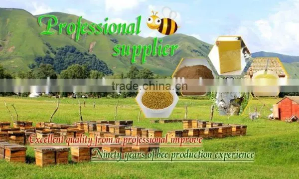 100% Pure Propolis/high Quality Bee Propolis photo-3