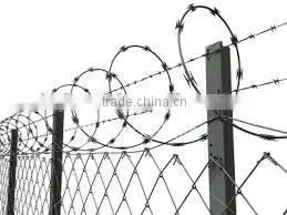 Direct From Factory Quality Galvanized Barbed Wire photo-4