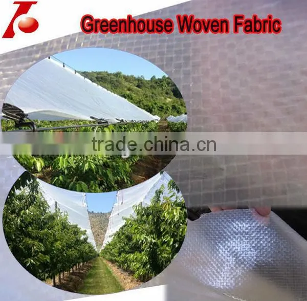 Hdpe Film With Grommets Spaced 3feet and Ropes in All Hems photo-4