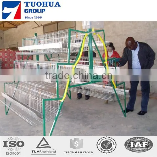 A Type Cages for Broiler Chicken photo-3