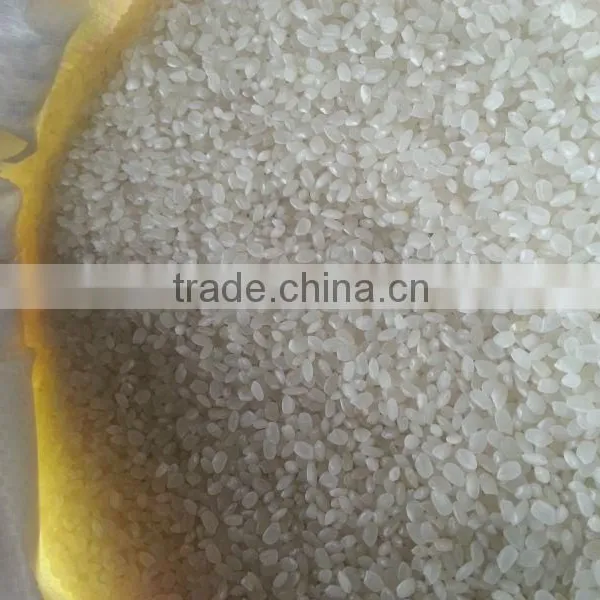 Vietnam Sushi Rice ( Japonica Rice ) photo-5