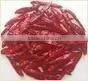 Dry Red Chili photo-3